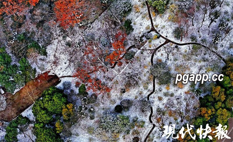 PG电子模拟器