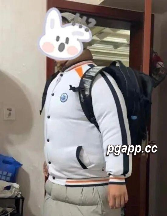 PG电子模拟器