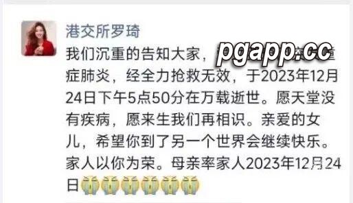 PG电子模拟器