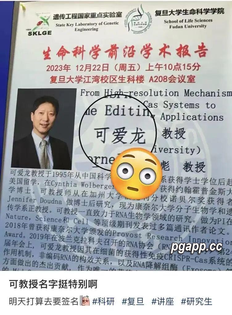 PG电子模拟器